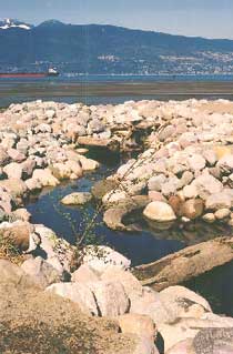 Spanish Banks Creek